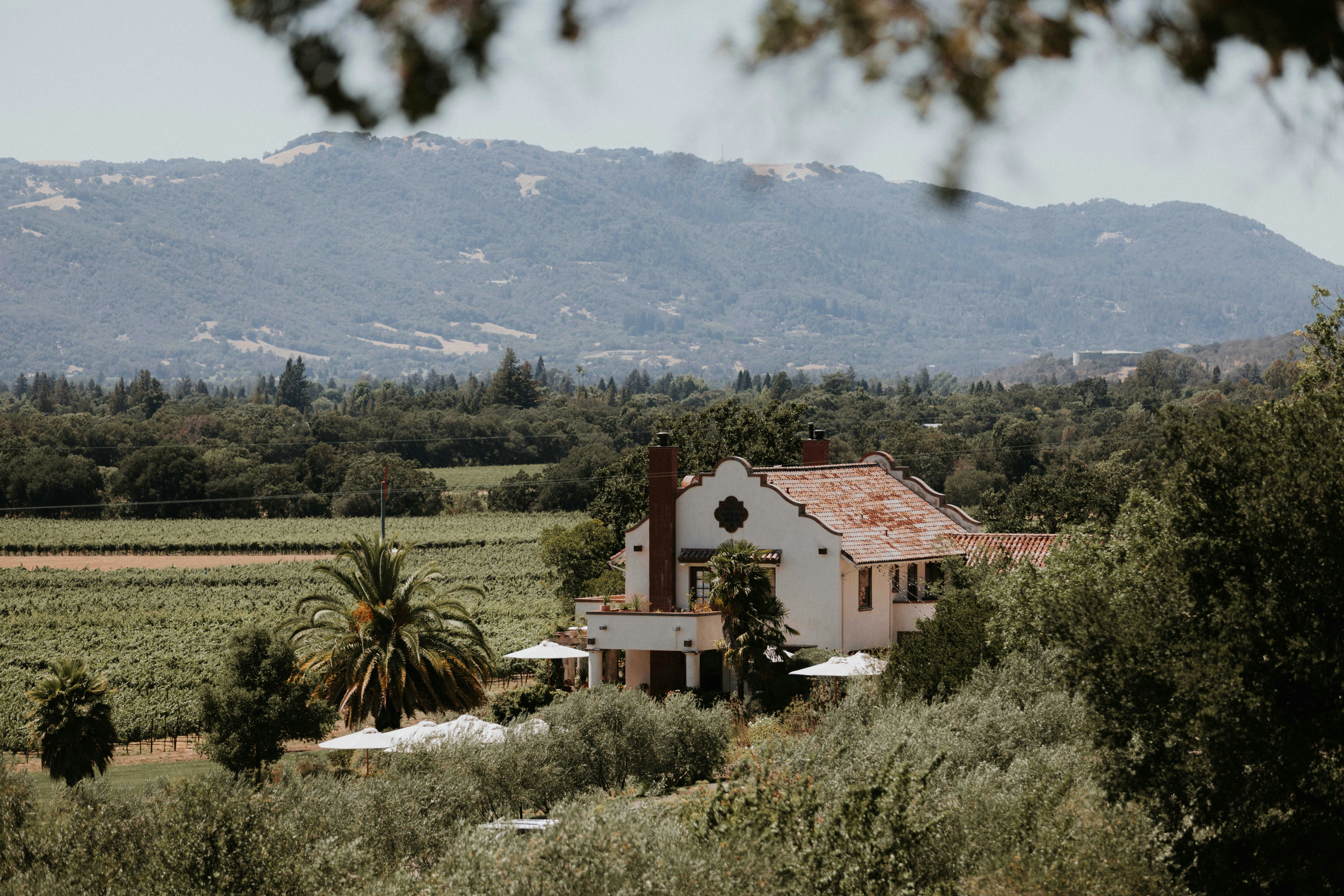 Napa Valley Winery Vineyard: A 2025 Journey Through California’s Wine Country
