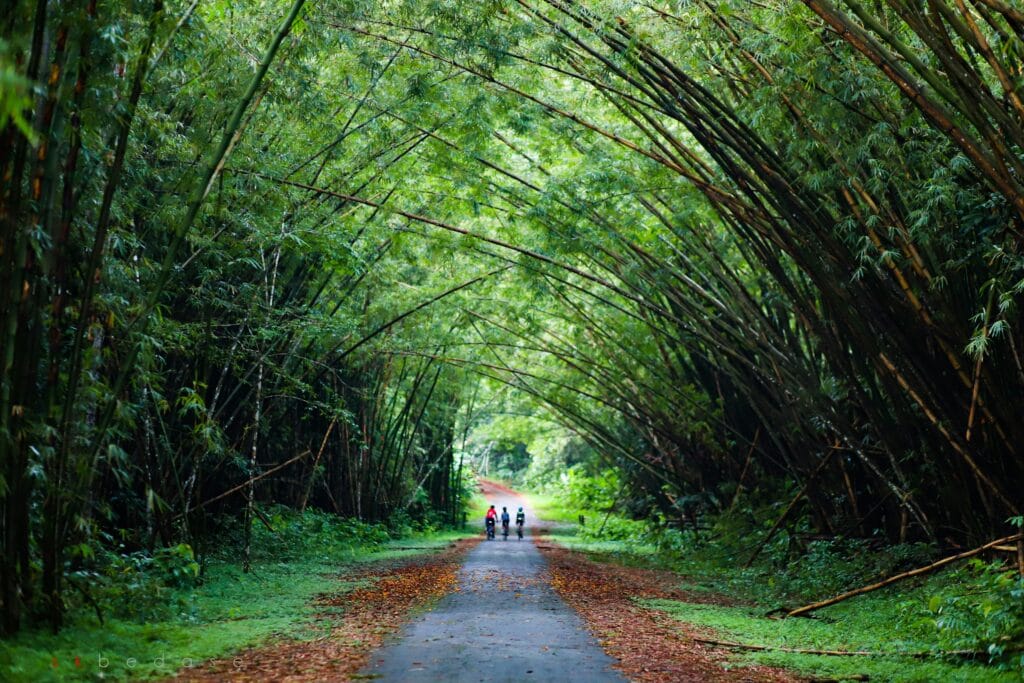 Why Trinidad and Tobago Visa on Arrival is a Traveler’s Gateway to the