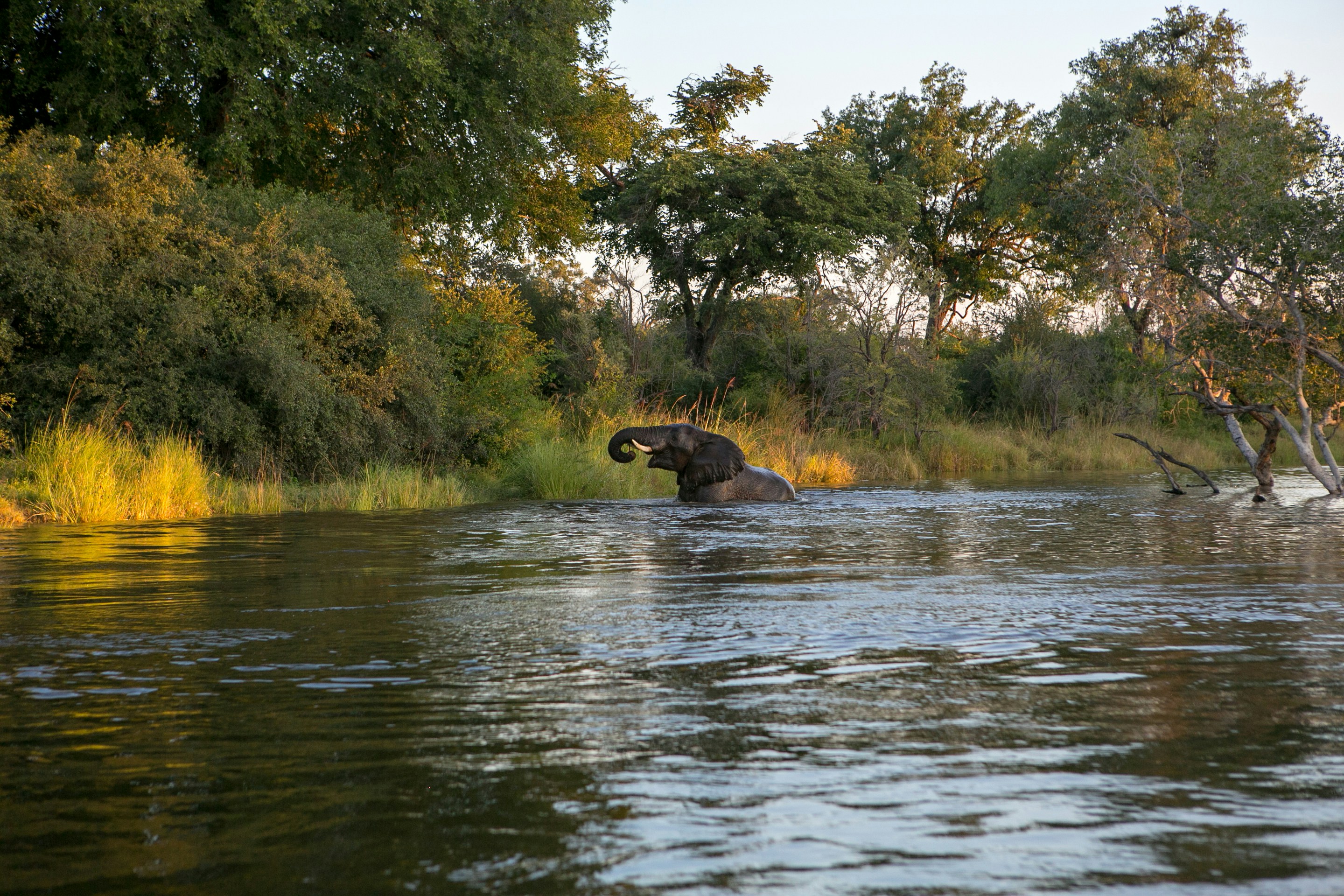 Zambia eVisa Your 2025 Complete Guide for Hassle-Free Entry