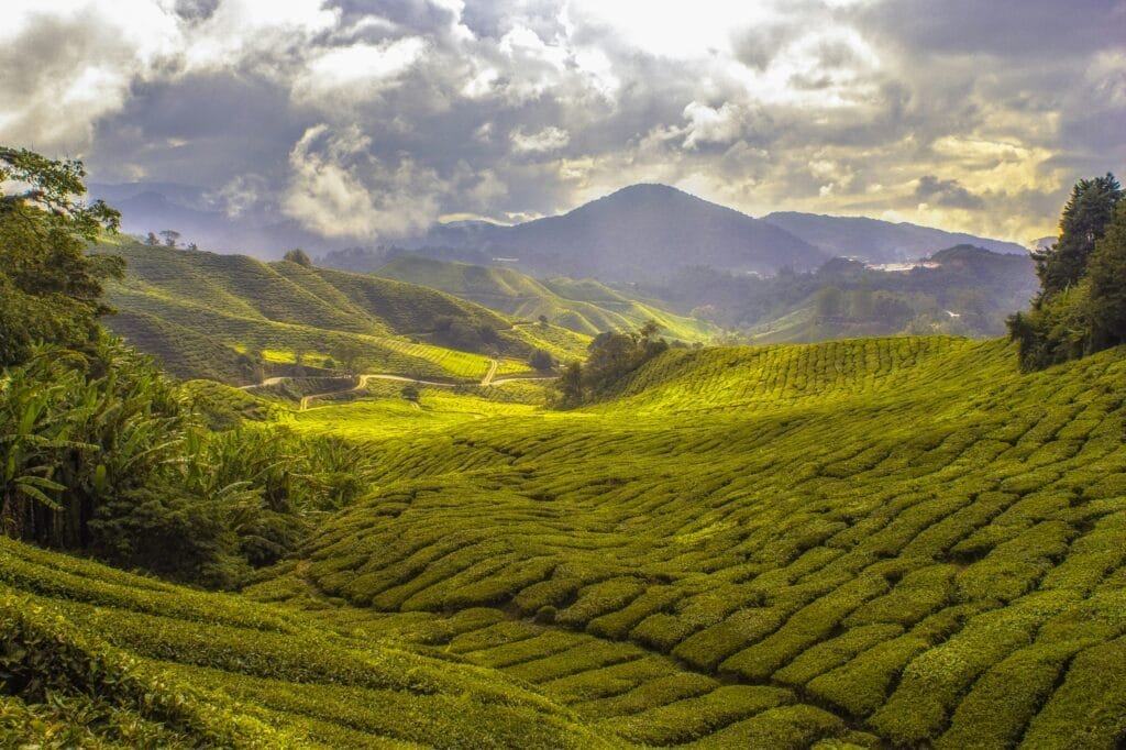 Malaysia eVisa The Ultimate 2025 Guide for Travelers 7 Malaysia eVisa The Ultimate 2025 Guide for Traveler