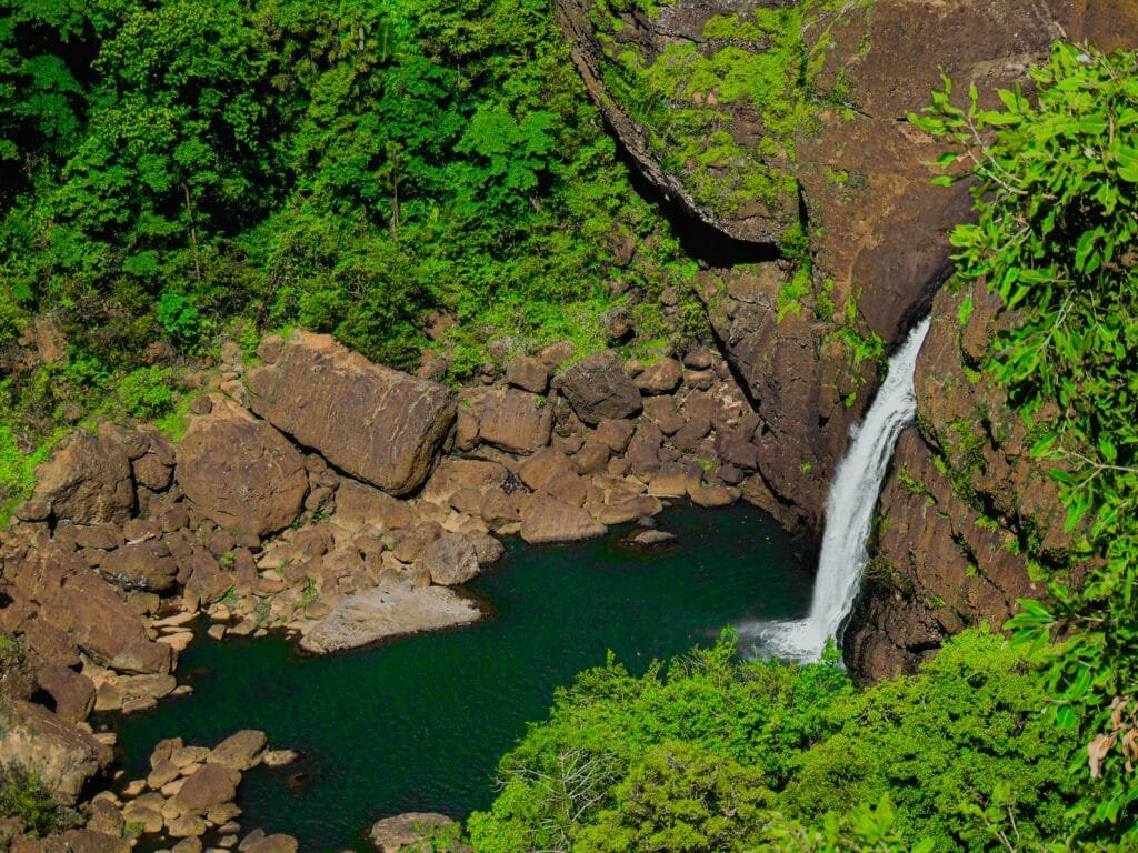 Papua New Guinea eVisa Everything You Need to Know by 2025 7 Papua New Guinea eVisa Everything You Need to Know by 20