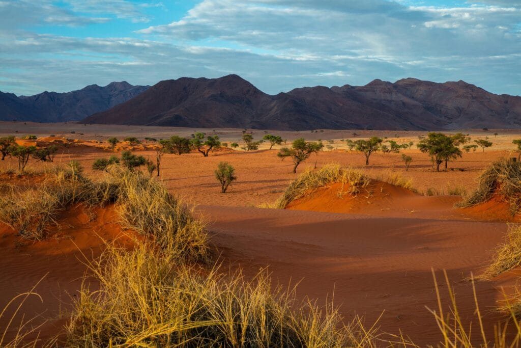 Namibia eVisa The Complete 2025 Guide For Travel 6 Namibia eVisa: The Complete 2025 Guide For Trave