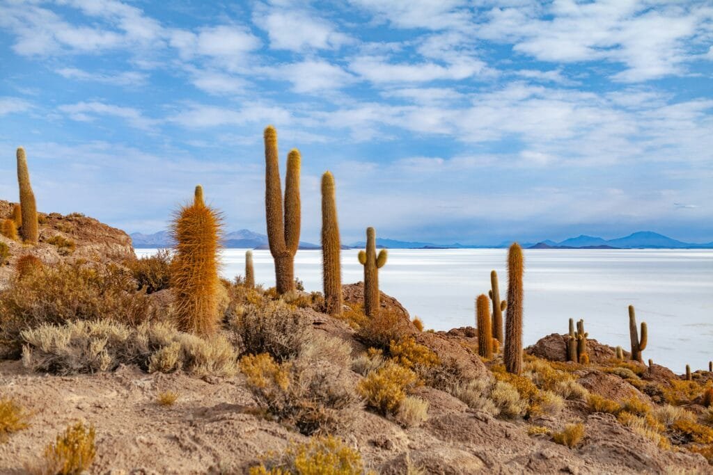 Bolivia eVisa Complete Travel Guide for 202