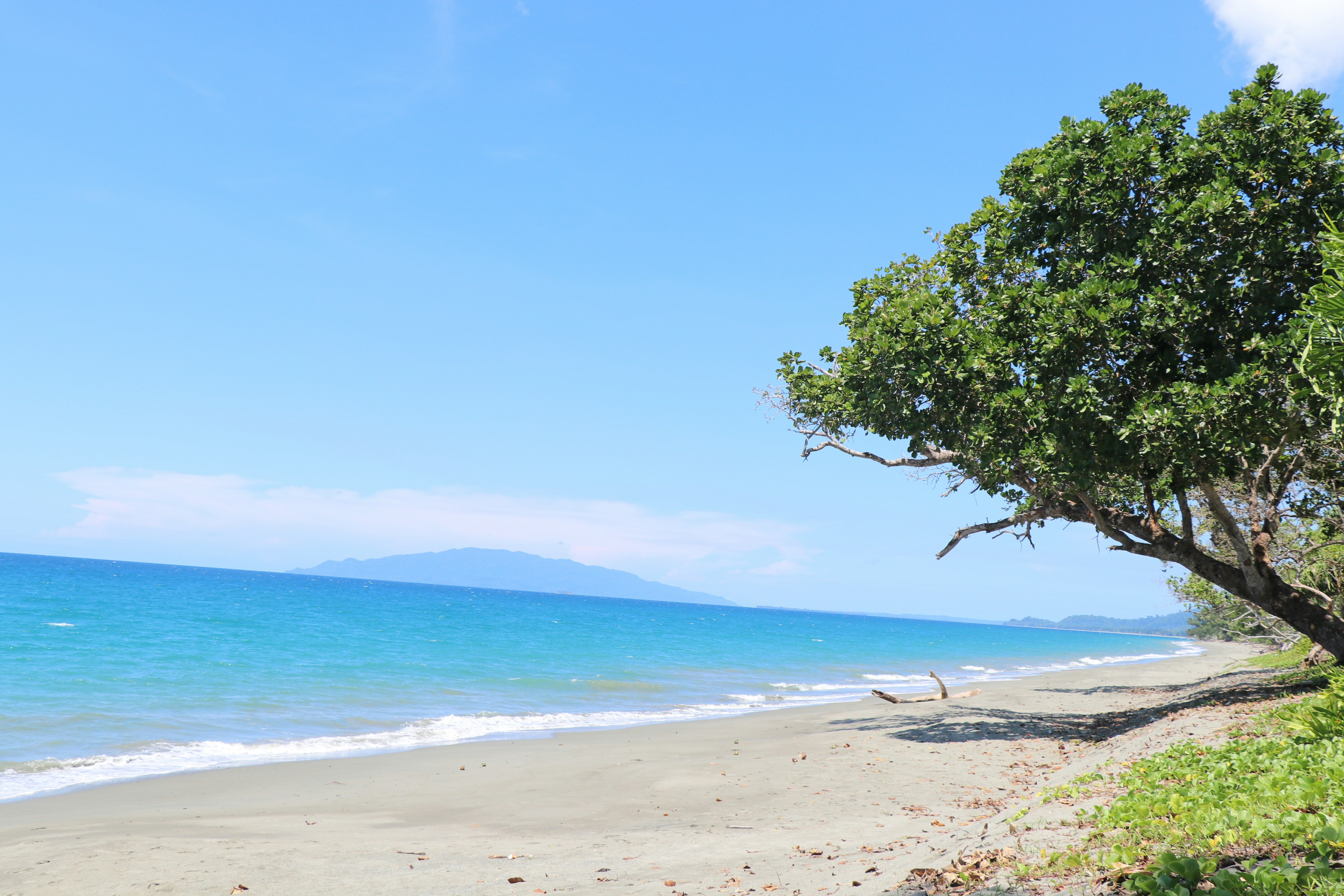 Papua New Guinea eVisa Everything You Need to Know by 2025