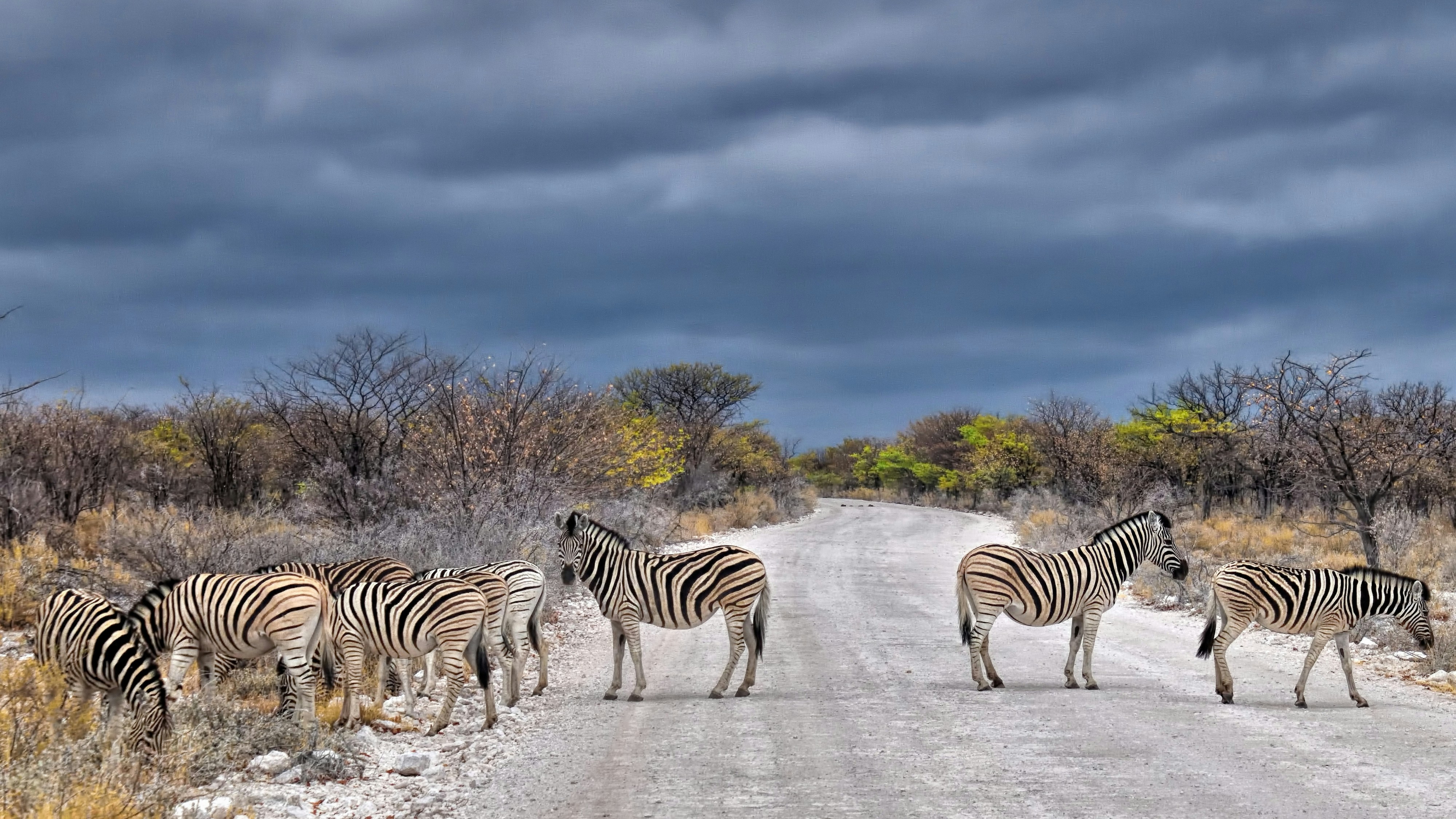Namibia eVisa The Complete 2025 Guide For Travel