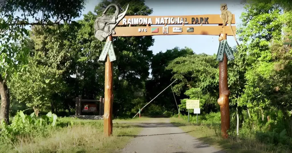 10 National Parks in Assam - A Journey Through the Wild 9 Raimona National Park