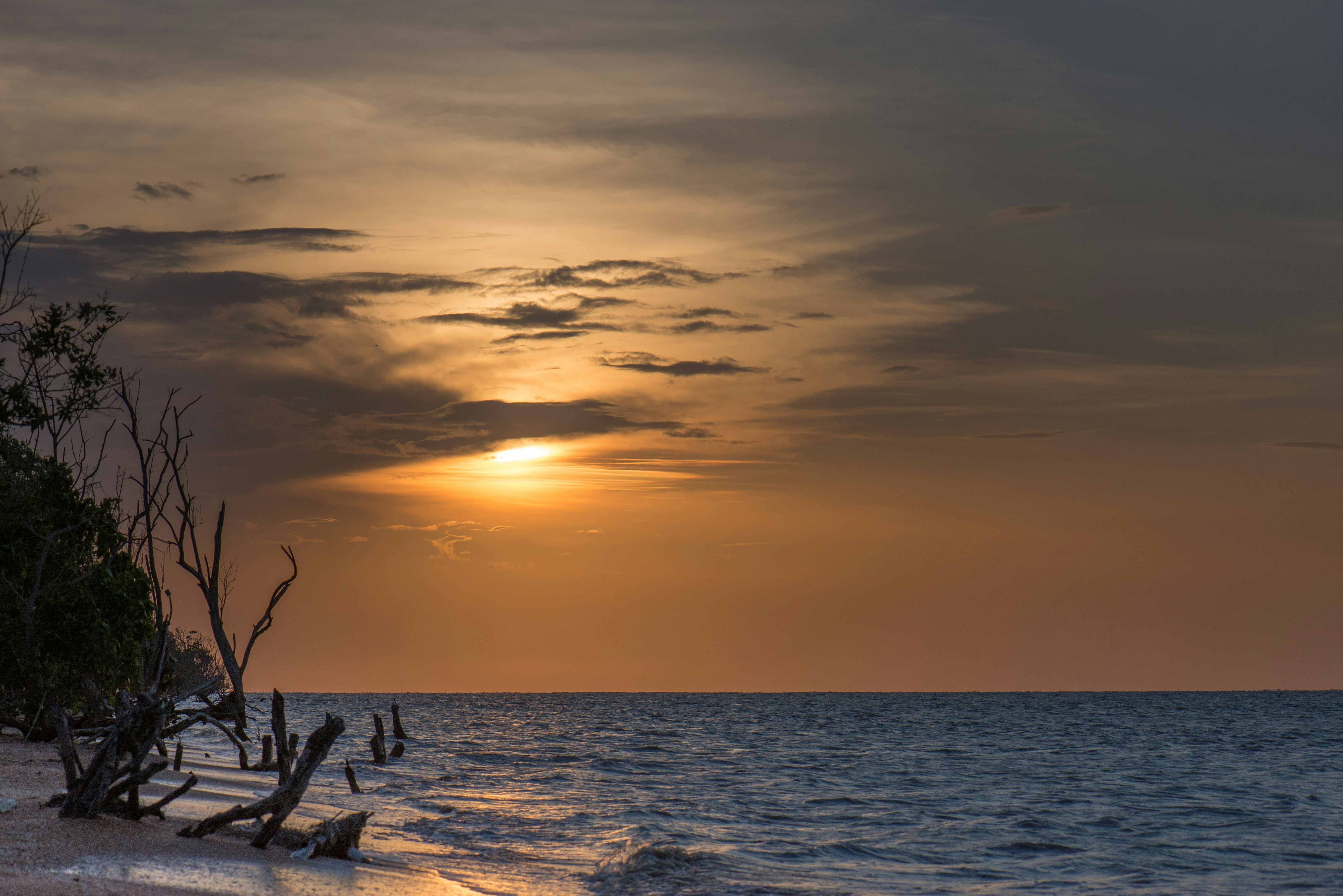 Suriname eVisa Everything You Need to Know by 2025