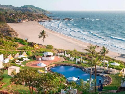 Luxury beach resort in Goa with a pool, palm trees, and ocean views