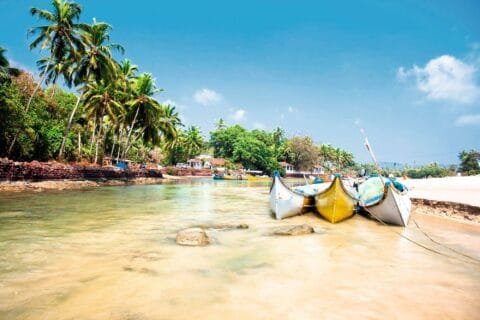 Sunny Goan beach scene