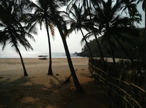 Quiet beach in Goa