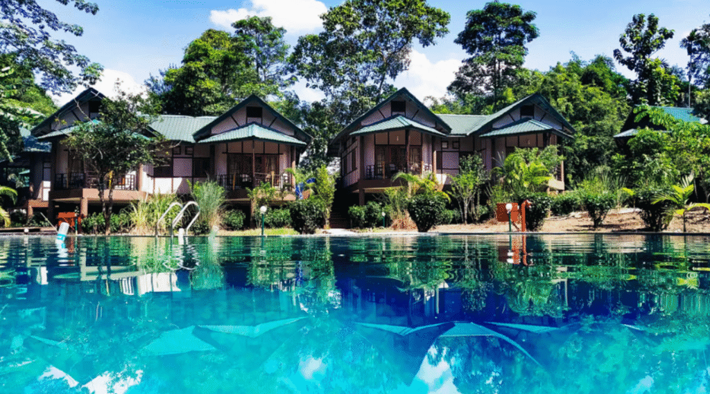 Infinity Resort Kaziranga