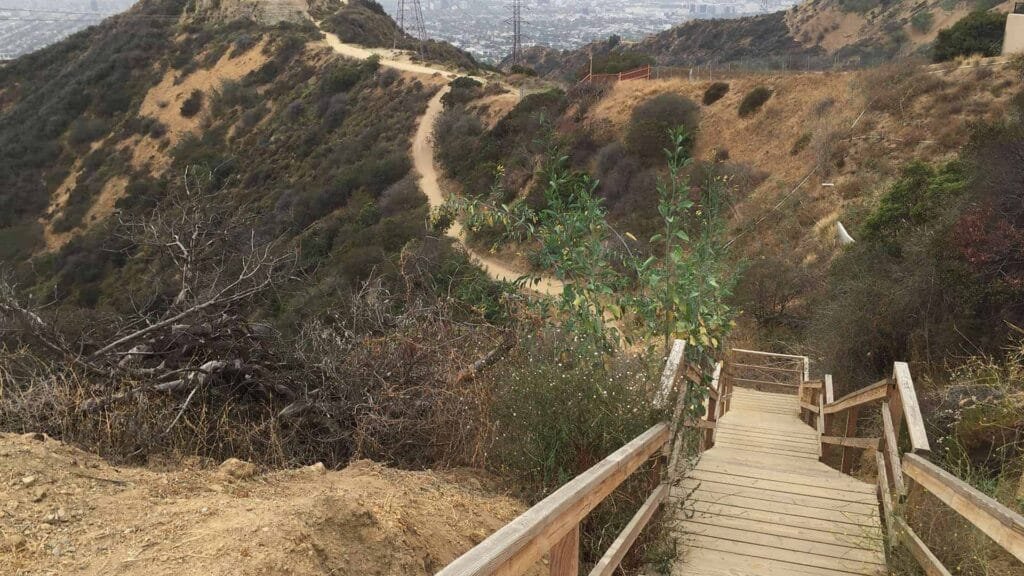 Hiking Runyon Canyon: Best Trails, Epic Views & Insider Tips