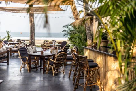 Zest vegan restaurant