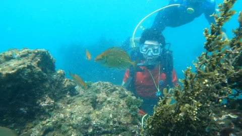 Scuba diver exploring Goa reefs
