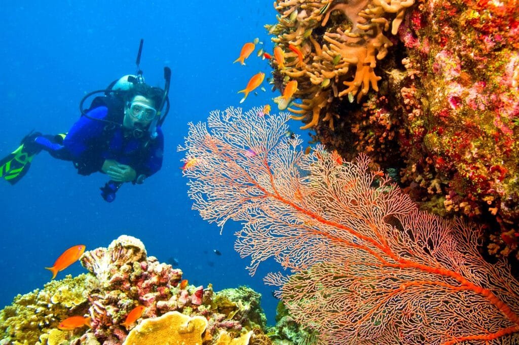 scuba diving in Goa