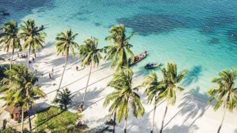 high season thailand