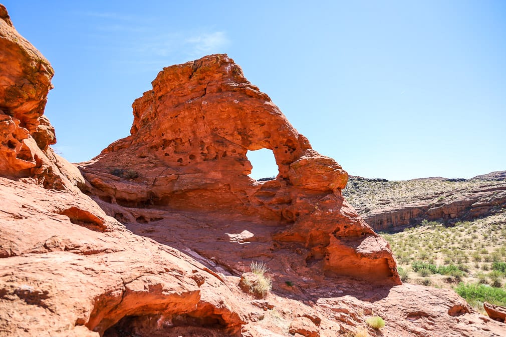 15 Best Hikes in St George, Utah for Red Rock Views, Easy Walks, and Hidden Trails 18 turtle wall 16