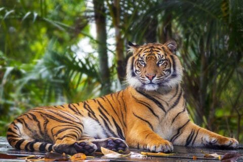 goa wildlife sanctuaries