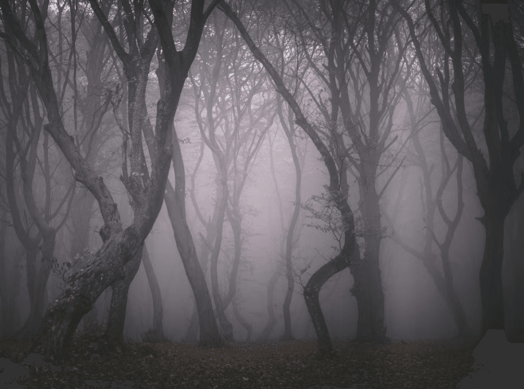 Top 10 Most Haunted Places on Earth You Should Know About 7 Most Haunted Places on Earth