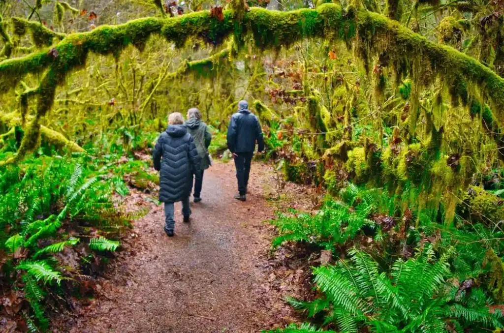 Practical Planning Tips for Visiting the Hoh Rainforest