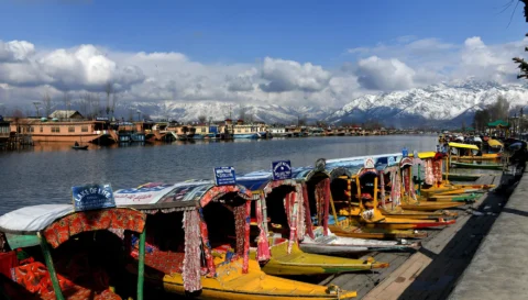 Colorful shikaras docked on Dal Lake
