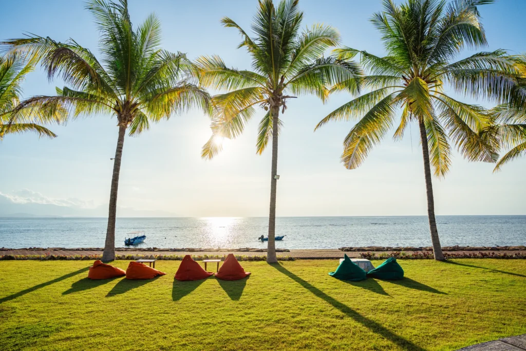 Palm-lined beach in Bali