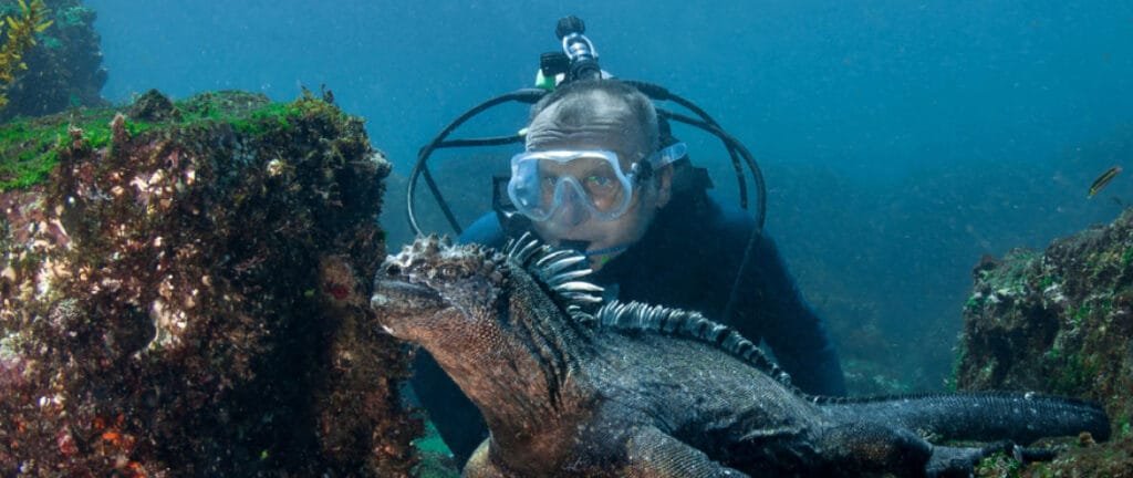galapagos scuba diving