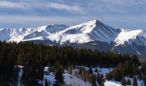 Sunlit Colorado mountains with forested slopes