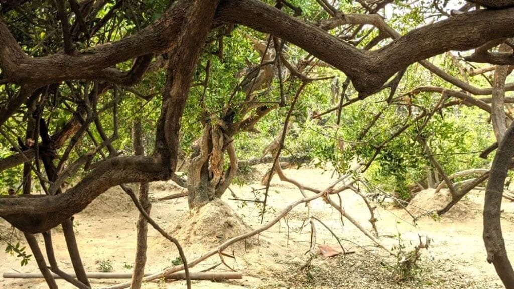 11 Breathtaking Places on Earth That Don’t Feel Real – Ultimate Travel Guide 7 unreal places on earth that don’t feel real