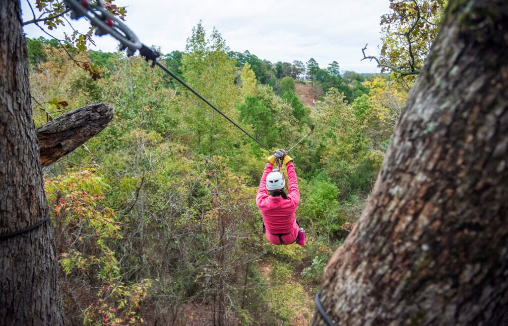 East Texas Piney Woods