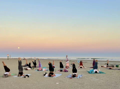 Beach Yoga Certification Retreat