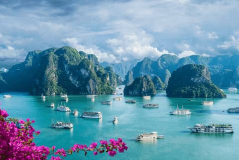 Ha Long Bay boats