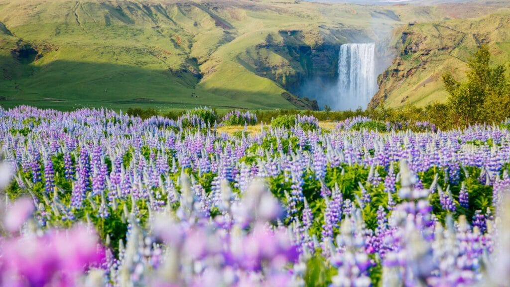 best time to visit Iceland