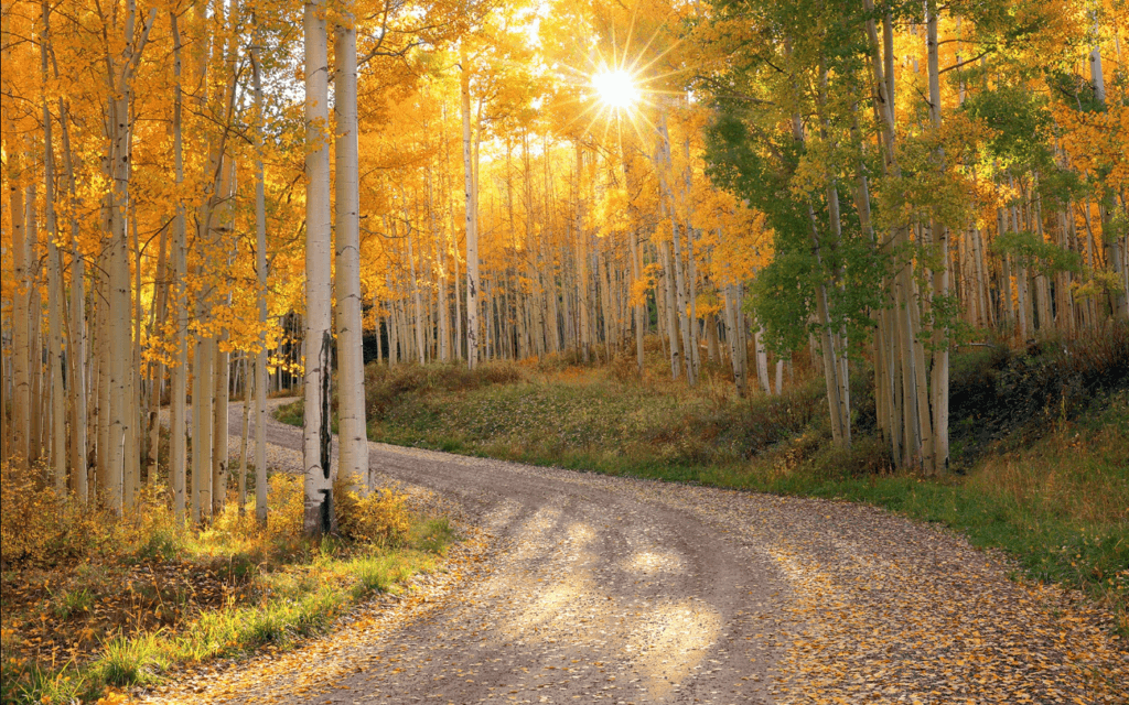 21 Soul-Stirring Instagram Quotes for Nature to Elevate Every Post 7 Instagram Quotes for Nature