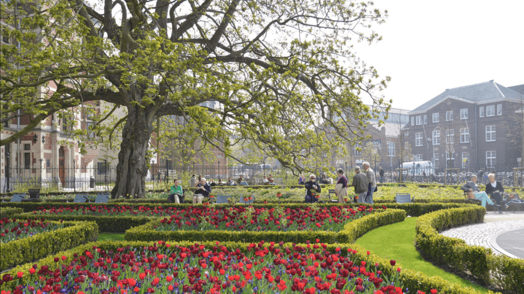 Free Activities in Amsterdam: The Ultimate Budget-Friendly Travel Guide 9 Rijksmuseum Gardens