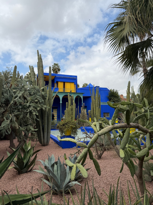 Visit Jardin Majorelle