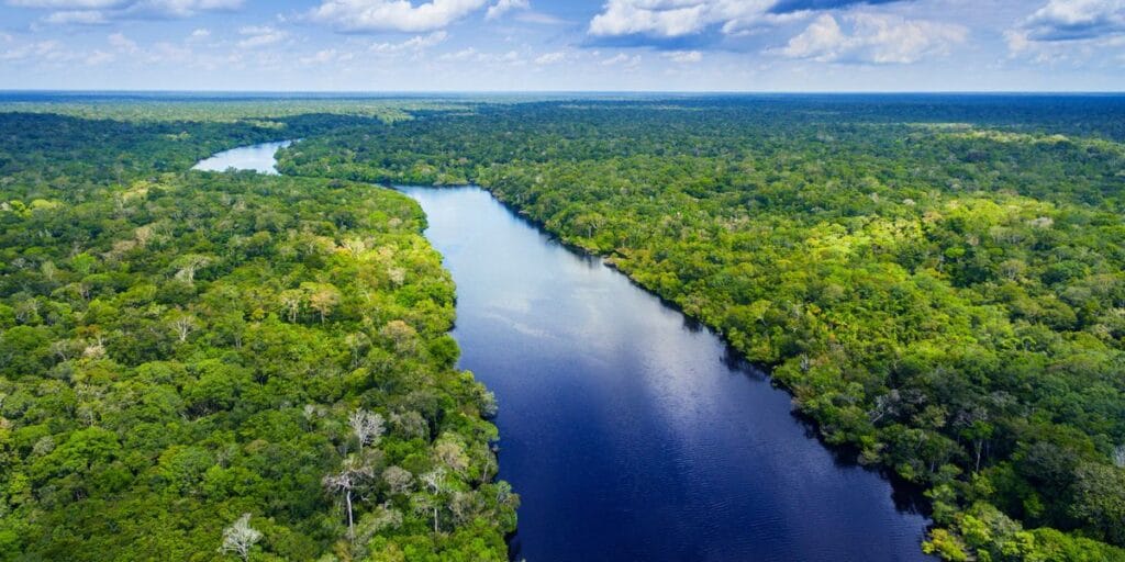 Brazil Travel Destinations: 9 Incredible Places & Essential Brazil Facts 7 Amazon Rainforest