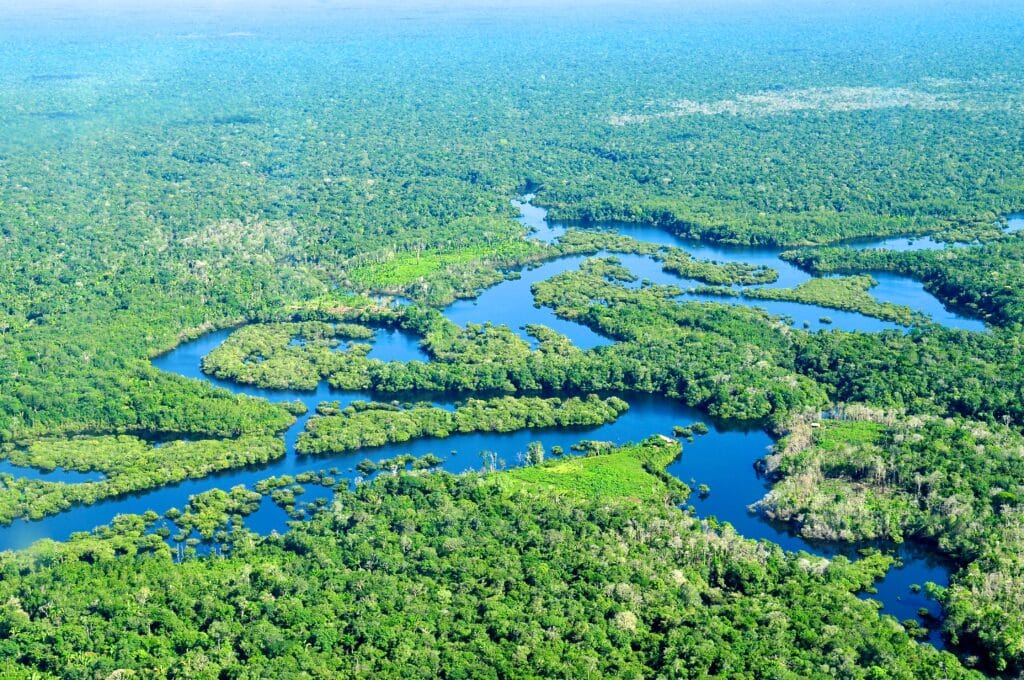 Amazon rainforest