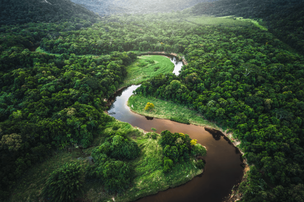 facts about the Amazon rainforest