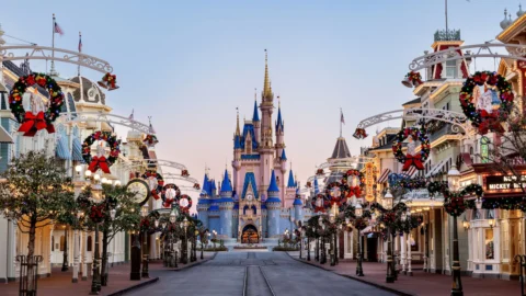 12 Famous Tourist Places in USA You Must Visit at Least Once 6 Walt Disney World Magic Kingdom castle view