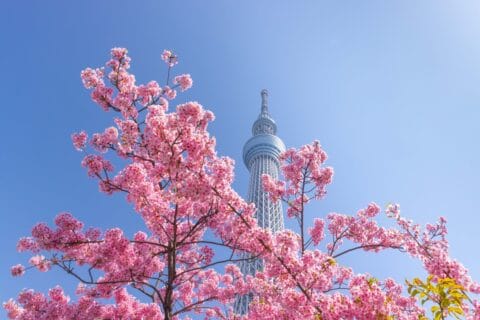 Best Time to Visit Tokyo Japan: Complete Travel Guide 4 Tokyo Skytree