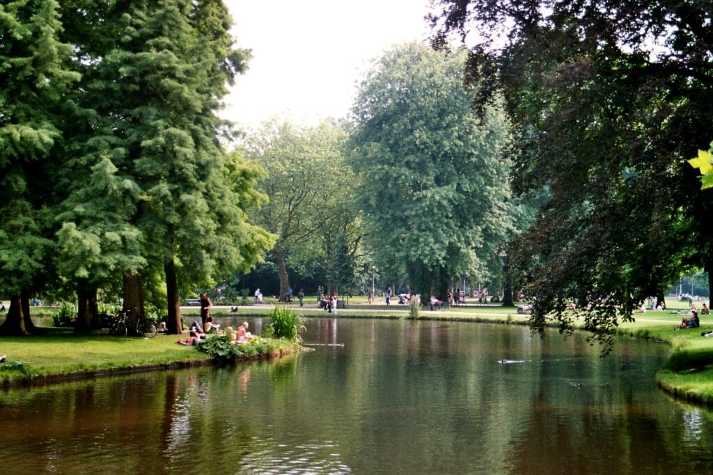 Free Activities in Amsterdam: The Ultimate Budget-Friendly Travel Guide 7 Relax in Vondelpark