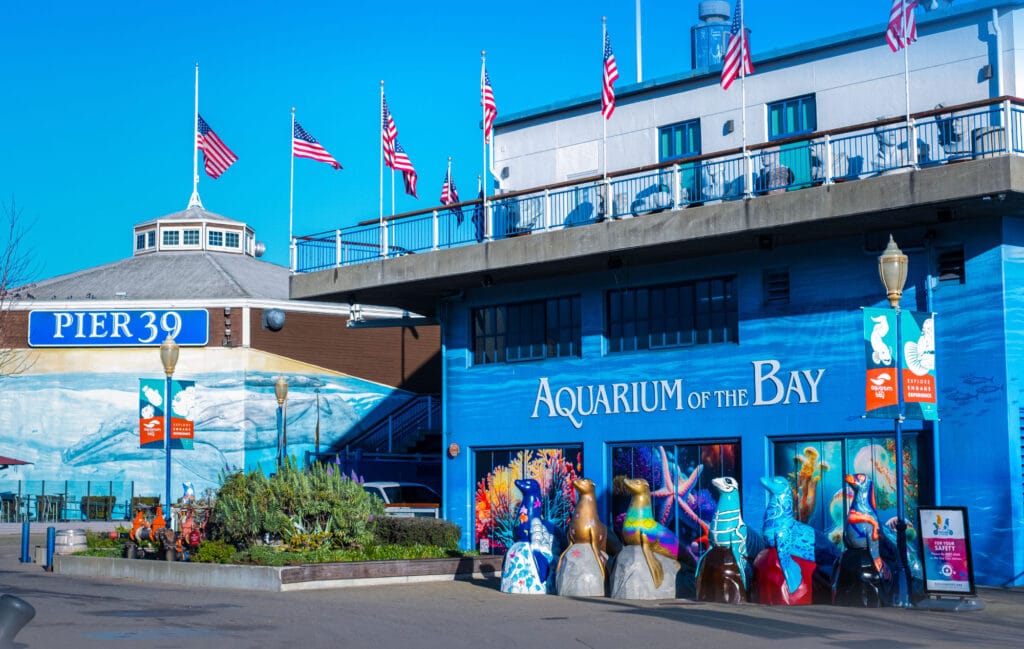 Biggest Aquarium in California and Top Public Aquariums in California to Visit 8 public aquariums in California