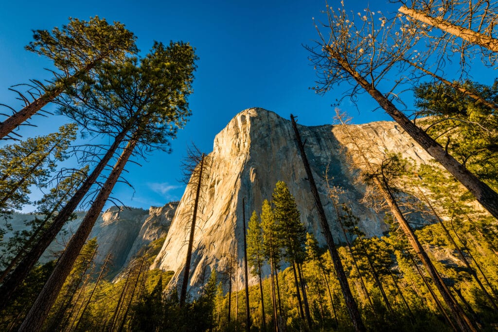 el capitan yosemite