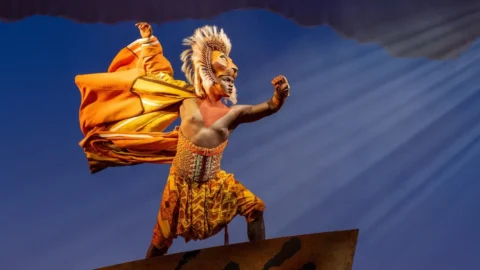 Lion King musical performer