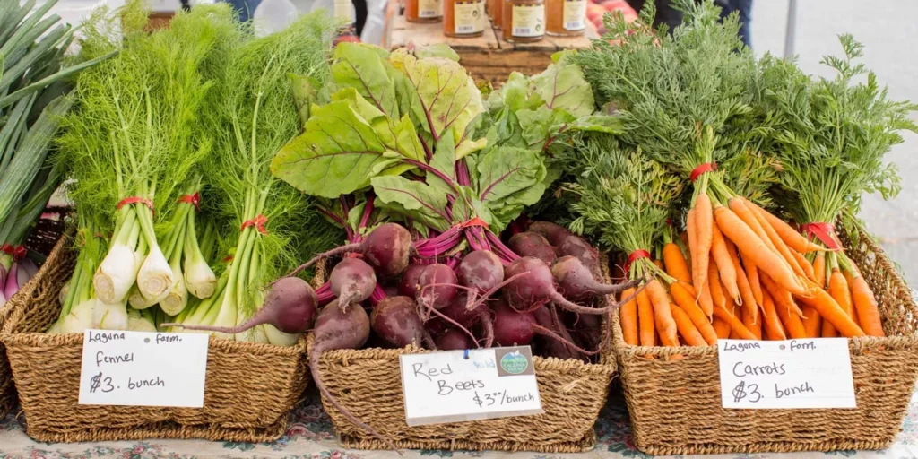 California Food Guide: Exploring the Best of California Cuisine 6 farm to table