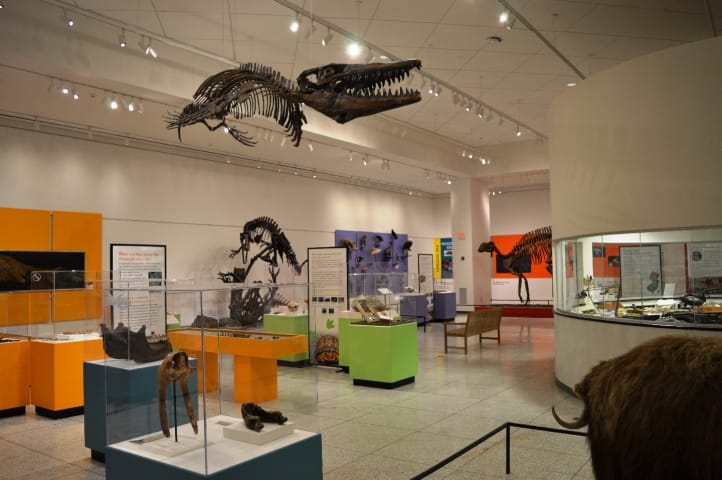 New Jersey State Museum