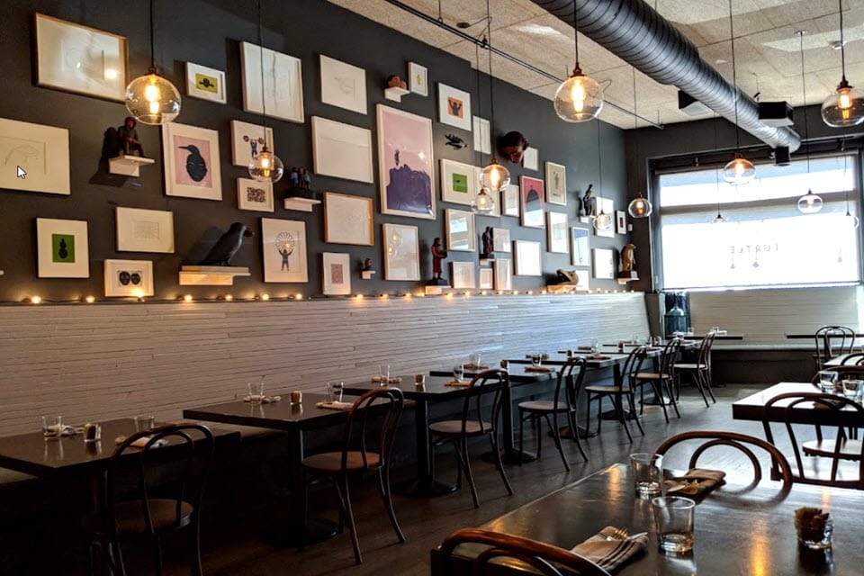 Turtle + The Wolf montclair