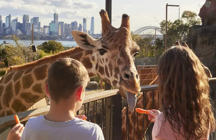 Taronga Park Sydney