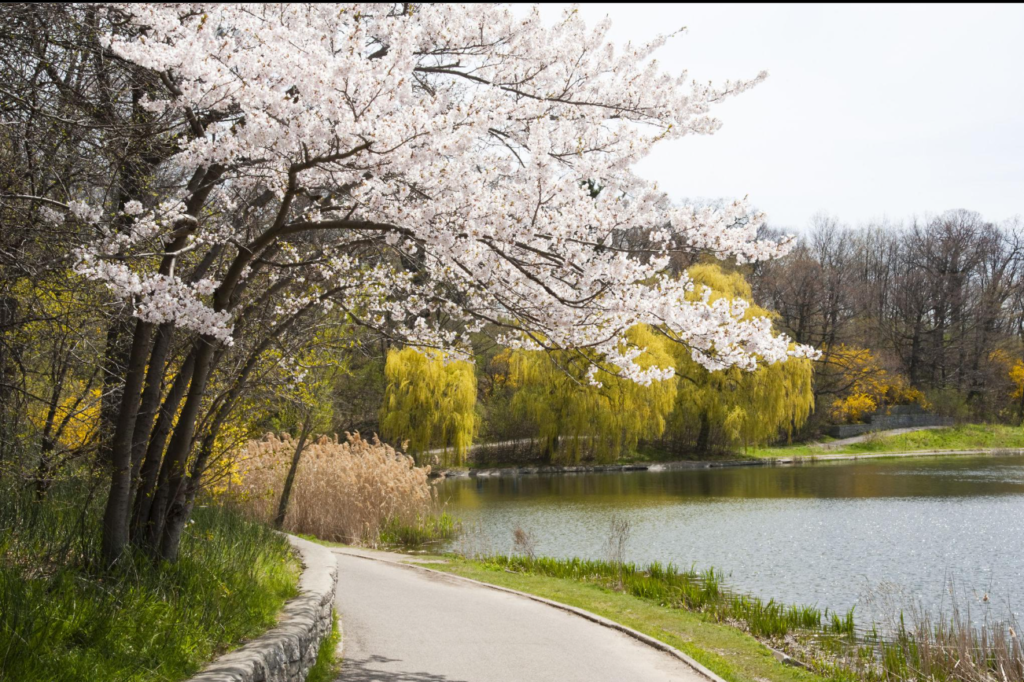 free places to visit in Toronto